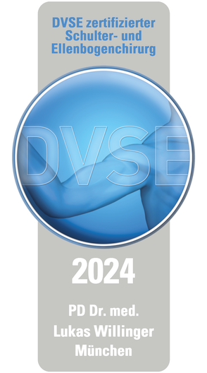 dvse-willinger