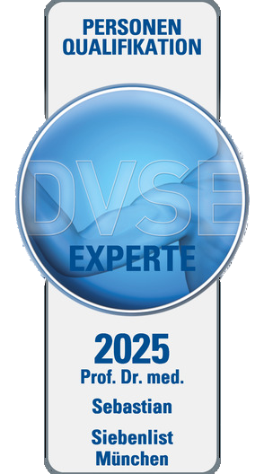 zertifikat-siebenlist-dvse-2025